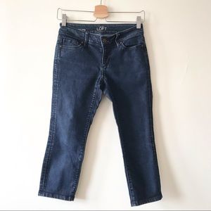 Ann Taylor Loft Petite Curvy Cropped Jeans in Dark Rinse Wash-24 Petite